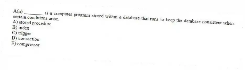A(n) ________ is a computer program stored within a database that runs to keep the database consistent when certain conditions arise.
A) stored procedure
B) index
C) trigger
D) transaction
E) compressor