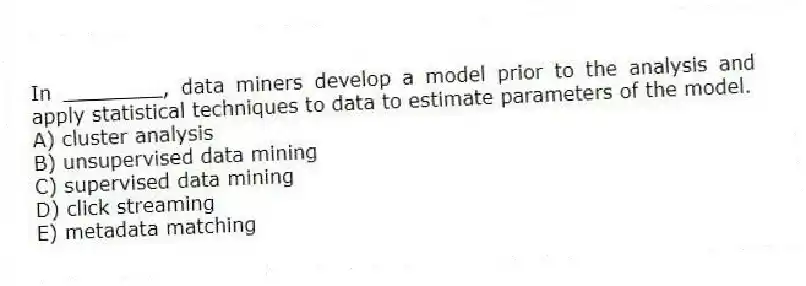 In ________, data miners develop a model prior to the analysis and apply statistical techniques to data to estimate parameters of the model.
A) cluster analysis
B) unsupervised data mining
C) supervised data mining
D) click streaming
E) metadata matching