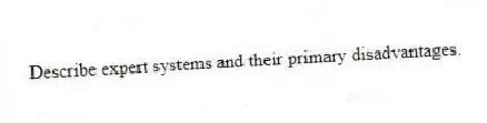 Describe expert systems and their primary disadvantages.