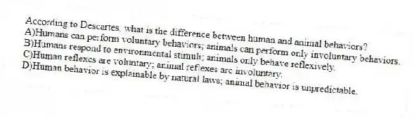 According to Descartes, what is the difference between human and animal behaviors?
A)Humans can perform voluntary behaviors; animals can perform only involuntary behaviors.
B)Humans respond to environmental stimuli; animals only behave reflexively.
C)Human reflexes are voluntary; animal reflexes are involuntary.
D)Human behavior is explainable by natural laws; animal behavior is unpredictable.