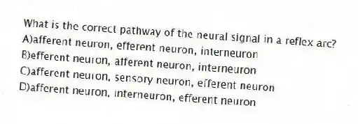 What is the correct pathway of the neural signal in a reflex arc?
A)afferent neuron, efferent neuron, interneuron
B)efferent neuron, afferent neuron, interneuron
C)afferent neuron, sensory neuron, efferent neuron
D)afferent neuron, interneuron, efferent neuron