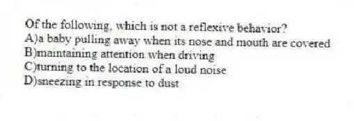 Of the following, which is not a reflexive behavior?
A)a baby pulling away when its nose and mouth are covered
B)maintaining attention when driving
C)turning to the location of a loud noise
D)sneezing in response to dust