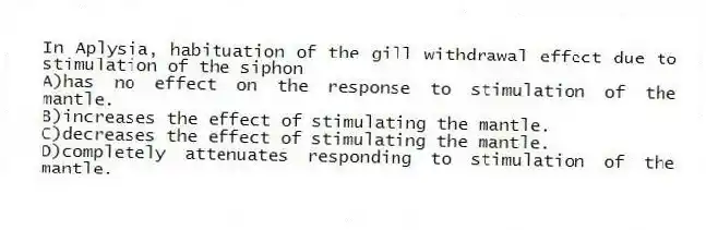 In Aplysia, habituation of the gill withdrawal effect due to stimulation of the siphon
A)has no effect on the response to stimulation of the mantle.
B)increases the effect of stimulating the mantle.
C)decreases the effect of stimulating the mantle.
D)completely attenuates responding to stimulation of the mantle.