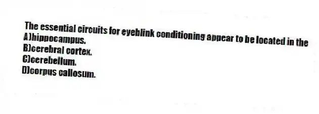 The essential circuits for eyeblink conditioning appear to be located in the
A)hippocampus.
B)cerebral cortex.
C)cerebellum.
D)corpus callosum.