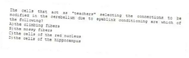The cells that act as "teachers" selecting the connections to be modified in the cerebellum due to eyeblink conditioning are which of the following?
A)the climbing fibers
B)the mossy fibers
C)the cells of the red nucleus
D)the cells of the hippocampus