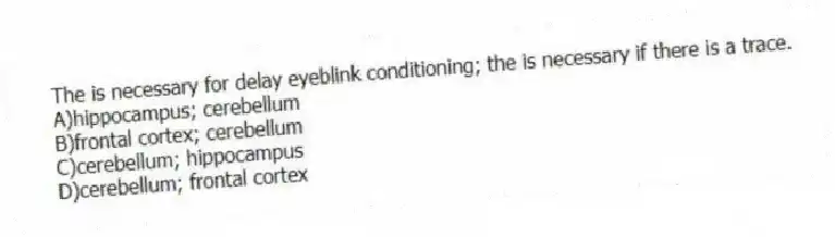 The is necessary for delay eyeblink conditioning; the is necessary if there is a trace.
A)hippocampus; cerebellum
B)frontal cortex; cerebellum
C)cerebellum; hippocampus
D)cerebellum; frontal cortex