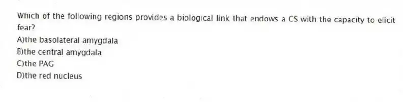 Which of the following regions provides a biological link that endows a CS with the capacity to elicit fear?
A)the basolateral amygdala
B)the central amygdala
C)the PAG
D)the red nucleus