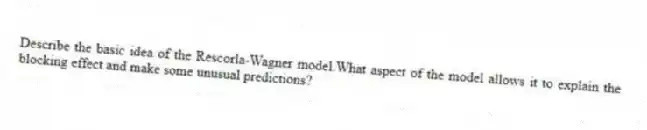 Describe the basic idea of the Rescorla-Wagner model.What aspect of the model allows it to explain the blocking effect and make some unusual predictions?