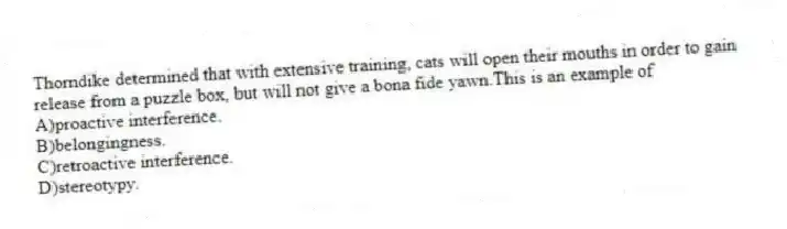 Thorndike determined that with extensive training, cats will open their mouths in order to gain release from a puzzle box, but will not give a bona fide yawn.This is an example of
A)proactive interference.
B)belongingness.
C)retroactive interference.
D)stereotypy.