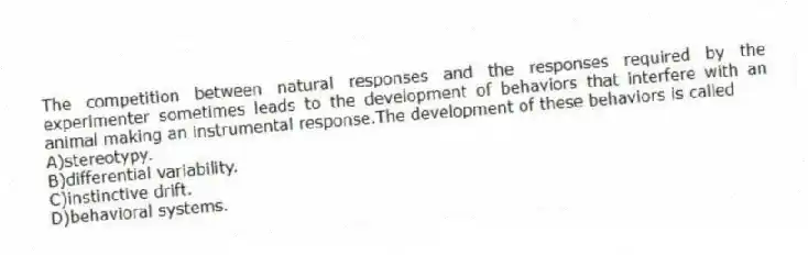 The competition between natural responses and the responses required by the experimenter sometimes leads to the development of behaviors that interfere with an animal making an instrumental response.The development of these behaviors is called
A)stereotypy.
B)differential variability.
C)instinctive drift.
D)behavioral systems.