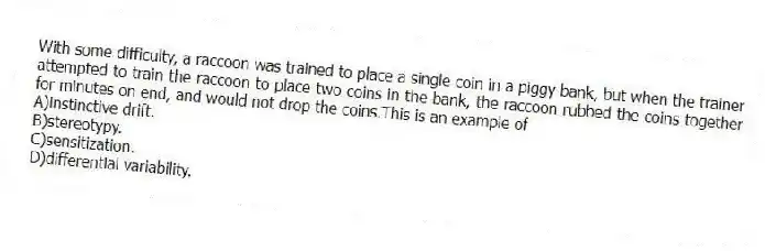 With some difficulty, a raccoon was trained to place a single coin in a piggy bank, but when the trainer attempted to train the raccoon to place two coins in the bank, the raccoon rubbed the coins together for minutes on end, and would not drop the coins.This is an example of
A)instinctive drift.
B)stereotypy.
C)sensitization.
D)differential variability.