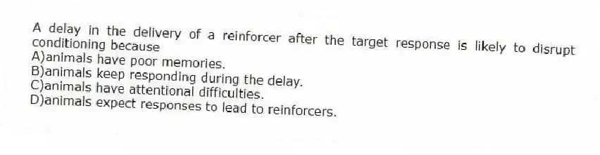 A delay in the delivery of a reinforcer after the target response is likely to disrupt conditioning because
A)animals have poor memories.
B)animals keep responding during the delay.
C)animals have attentional difficulties.
D)animals expect responses to lead to reinforcers.