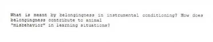 What is meant by belongingness in instrumental conditioning? How does belongingness contribute to animal
"misbehavior" in learning situations?