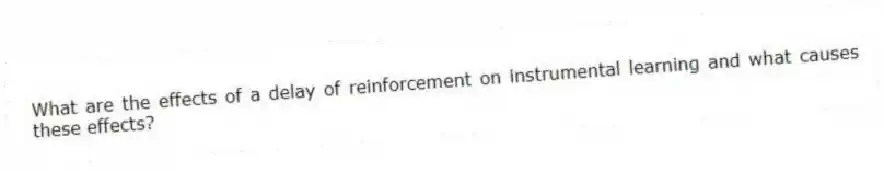 What are the effects of a delay of reinforcement on instrumental learning and what causes these effects?