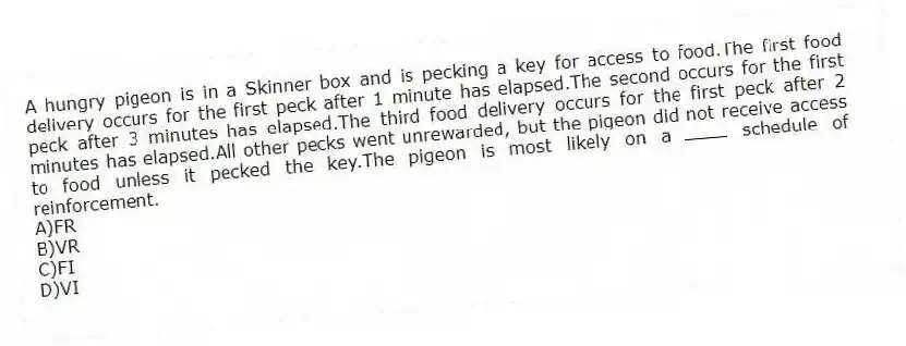 A hungry pigeon is in a Skinner box and is pecking a key for access to food.The first food delivery occurs for the first peck after 1 minute has elapsed.The second occurs for the first peck after 3 minutes has elapsed.The third food delivery occurs for the first peck after 2 minutes has elapsed.All other pecks went unrewarded, but the pigeon did not receive access to food unless it pecked the key.The pigeon is most likely on a schedule of reinforcement.
A)FR
B)VR
C)FI
D)VI