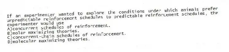 If an experimenter wanted to explore the conditions under which animals prefer unpredictable reinforcement schedules to predictable reinforcement schedules, the experimenter would use
A)concurrent schedules of reinforcement.
B)molar maximizing theories.
C)concurrent-chain schedules of reinforcement.
D)molecular maximizing theories.