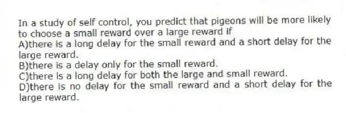 In a study of self control, you predict that pigeons will be more likely to choose a small reward over a large reward if
A)there is a long delay for the small reward and a short delay for the large reward.
B)there is a delay only for the small reward.
C)there is a long delay for both the large and small reward.
D)there is no delay for the small reward and a short delay for the large reward.