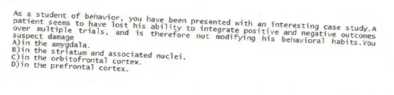 As a student of behavior, you have been presented with an interesting case study.A patient seems to have lost his ability to integrate positive and negative outcomes over multiple trials, and is therefore not modifying his behavioral habits.You suspect damage
A)in the amygdala.
B)in the striatum and associated nuclei.
C)in the orbitofrontal cortex.
D)in the prefrontal cortex.