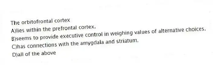 The orbitofrontal cortex
A)lies within the prefrontal cortex.
B)seems to provide executive control in weighing values of alternative choices.
C)has connections with the amygdala and striatum.
D)all of the above