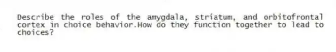 Describe the roles of the amygdala, striatum, and orbitofrontal cortex in choice behavior.How do they function together to lead to choices?