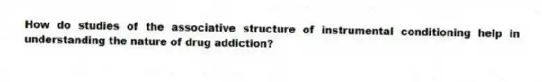 How do studies of the associative structure of instrumental conditioning help in understanding the nature of drug addiction?