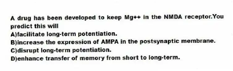 A drug has been developed to keep Mg++ in the NMDA receptor.You predict this will
A)facilitate long-term potentiation.
B)increase the expression of AMPA in the postsynaptic membrane.
C)disrupt long-term potentiation.
D)enhance transfer of memory from short to long-term.