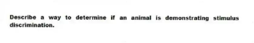 Describe a way to determine if an animal is demonstrating stimulus discrimination.