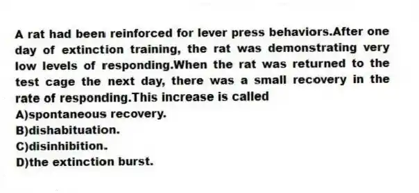 A rat had been reinforced for lever press behaviors.After one day of extinction training, the rat was demonstrating very low levels of responding.When the rat was returned to the test cage the next day, there was a small recovery in the rate of responding.This increase is called
A)spontaneous recovery.
B)dishabituation.
C)disinhibition.
D)the extinction burst.