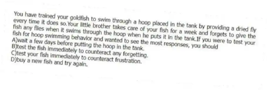 You have trained your goldfish to swim through a hoop placed in the tank by providing a dried fly every time it does so.Your little brother takes care of your fish for a week and forgets to give the fish any flies when it swims through the hoop when he puts it in the tank.If you were to test your fish for hoop swimming behavior and wanted to see the most responses, you should
A)wait a few days before putting the hoop in the tank.
B)test the fish immediately to counteract any forgetting.
C)test your fish immediately to counteract frustration.
D)buy a new fish and try again.