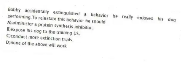 Bobby accidentally extinguished a behavior he really enjoyed his dog performing.To reinstate this behavior he should
A)administer a protein synthesis inhibitor.
B)expose his dog to the training US.
C)conduct more extinction trials.
D)none of the above will work