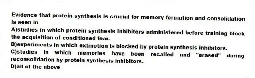 Evidence that protein synthesis is crucial for memory formation and consolidation is seen in
A)studies in which protein synthesis inhibitors administered before training block the acquisition of conditioned fear.
B)experiments in which extinction is blocked by protein synthesis inhibitors.
C)studies in which memories have been recalled and "erased" during reconsolidation by protein synthesis inhibitors.
D)all of the above