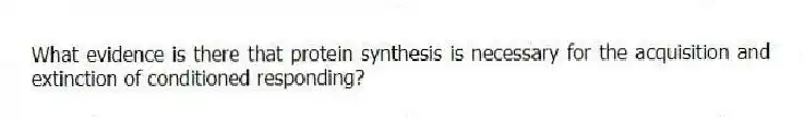 What evidence is there that protein synthesis is necessary for the acquisition and extinction of conditioned responding?