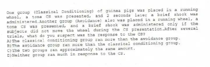 One group (Classical Conditioning) of guinea pigs was placed in a running wheel, a tone CS was presented, and 2 seconds later a brief shock was administered.Another group (Avoidance) also was placed in a running wheel, a tone CS was presented, and a brief shock was administered only if the subjects did not move the wheel during the CS presentation.After several trials, what do you suspect was the response to the CS?
A)The classical conditioning group ran more than the avoidance group.
B)The avoidance group ran more than the classical conditioning group.
C)The two groups ran approximately the same amount.
D)Neither group ran much in response to the CS.
