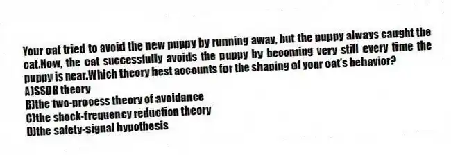 Your cat tried to avoid the new puppy by running away, but the puppy always caught the cat.Now, the cat successfully avoids the puppy by becoming very still every time the puppy is near.Which theory best accounts for the shaping of your cat's behavior?
A)SSDR theory
B)the two-process theory of avoidance
C)the shock-frequency reduction theory
D)the safety-signal hypothesis