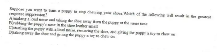Suppose you want to train a puppy to stop chewing your shoes.Which of the following will result in the greatest response suppression?
A)making a loud noise and taking the shoe away from the puppy at the same time
B)rubbing the puppy's nose in the shoe leather smell
C)startling the puppy with a loud noise, removing the shoe, and giving the puppy a toy to chew on
D)taking away the shoe and giving the puppy a toy to chew on