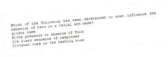 Which of the following has been determined to most influence the behavior of rats in a radial arm maze?
A)odor cues
B)the presence or absence of food
C)a fixed sequence of responses
D)visual cues in the testing room