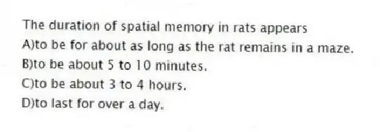 The duration of spatial memory in rats appears
A)to be for about as long as the rat remains in a maze.
B)to be about 5 to 10 minutes.
C)to be about 3 to 4 hours.
D)to last for over a day.