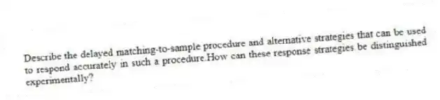 Describe the delayed matching-to-sample procedure and alternative strategies that can be used to respond accurately in such a procedure.How can these response strategies be distinguished experimentally?