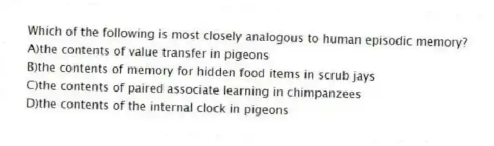 Which of the following is most closely analogous to human episodic memory?
A)the contents of value transfer in pigeons
B)the contents of memory for hidden food items in scrub jays
C)the contents of paired associate learning in chimpanzees
D)the contents of the internal clock in pigeons