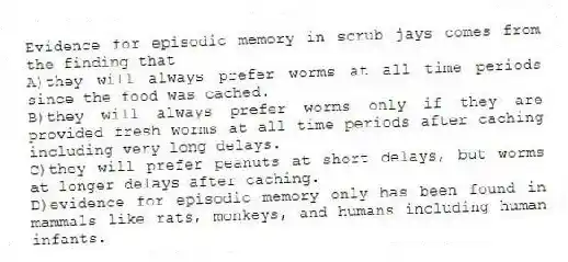 Evidence for episodic memory in scrub jays comes from the finding that
A)they will always prefer worms at all time periods since the food was cached.
B)they will always prefer worms only if they are provided fresh worms at all time periods after caching including very long delays.
C)they will prefer peanuts at short delays, but worms at longer delays after caching.
D)evidence for episodic memory only has been found in mammals like rats, monkeys, and humans including human infants.