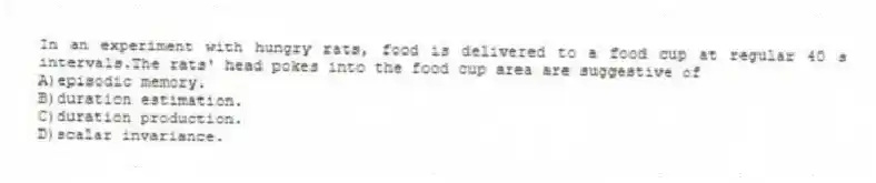 In an experiment with hungry rats, food is delivered to a food cup at regular 40 s intervals.The rats' head pokes into the food cup area are suggestive of
A)episodic memory.
B)duration estimation.
C)duration production.
D)scalar invariance.