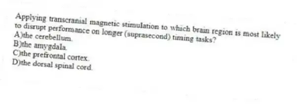 Applying transcranial magnetic stimulation to which brain region is most likely to disrupt performance on longer (suprasecond) timing tasks?
A)the cerebellum.
B)the amygdala.
C)the prefrontal cortex.
D)the dorsal spinal cord.