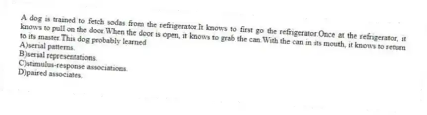 A dog is trained to fetch sodas from the refrigerator.It knows to first go the refrigerator.Once at the refrigerator, it knows to pull on the door.When the door is open, it knows to grab the can.With the can in its mouth, it knows to return to its master.This dog probably learned
A)serial patterns.
B)serial representations.
C)stimulus-response associations.
D)paired associates.