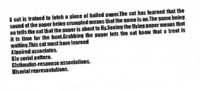 A cat is trained to fetch a piece of balled paper.The cat has learned that the sound of the paper being crumpled means that the game is on.The game being on tells the cat that the paper is about to fly.Seeing the flying paper means that it is time for the hunt.Grabbing the paper lets the cat know that a treat is waiting.This cat must have learned
A)paired associates.
B)a serial pattern.
C)stimulus-response associations.
D)serial representations.