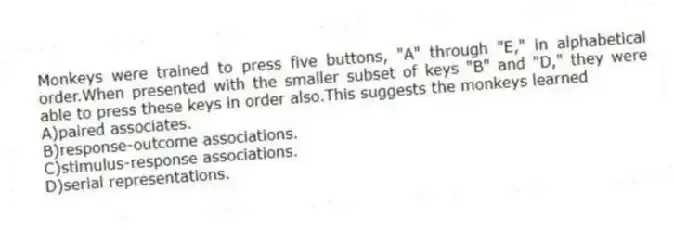 Monkeys were trained to press five buttons, "A" through "E," in alphabetical order.When presented with the smaller subset of keys "B" and "D," they were able to press these keys in order also.This suggests the monkeys learned
A)paired associates.
B)response-outcome associations.
C)stimulus-response associations.
D)serial representations.