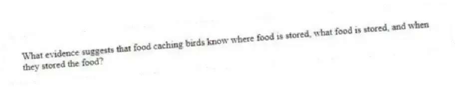 What evidence suggests that food caching birds know where food is stored, what food is stored, and when they stored the food?