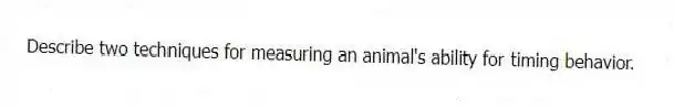 Describe two techniques for measuring an animal's ability for timing behavior.