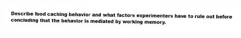Describe food caching behavior and what factors experimenters have to rule out before concluding that the behavior is mediated by working memory.