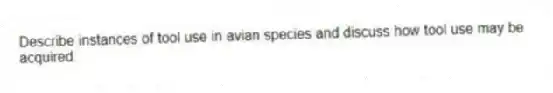 Describe instances of tool use in avian species and discuss how tool use may be acquired.