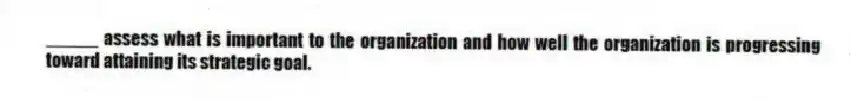 _____ assess what is important to the organization and how well the organization is progressing toward attaining its strategic goal.
